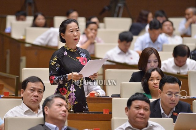 ĐBQH TÔ ÁI VANG GÓP Ý VỀ CHƯƠNG TRÌNH PHÁT TRIỂN KINH TẾ-XÃ HỘI VÙNG ĐỒNG BÀO DÂN TỘC THIỂU SỐ VÀ MIỀN NÚI